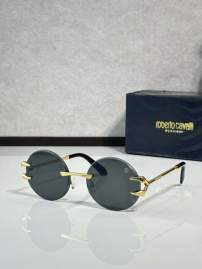 Picture of Roberto Cavalli Sunglasses _SKUfw76146969fw